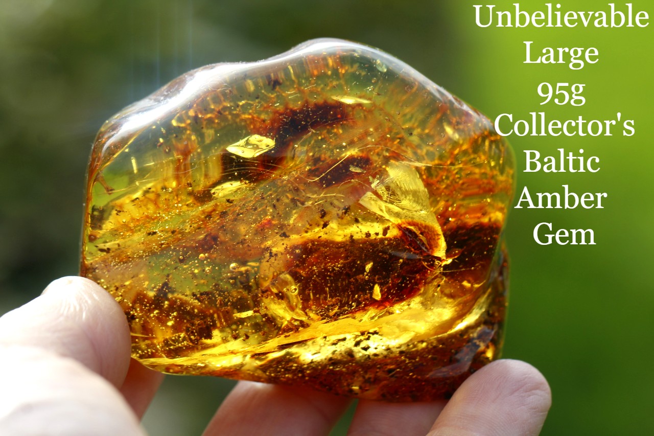 Large Museum Collector's  Baltic Amber