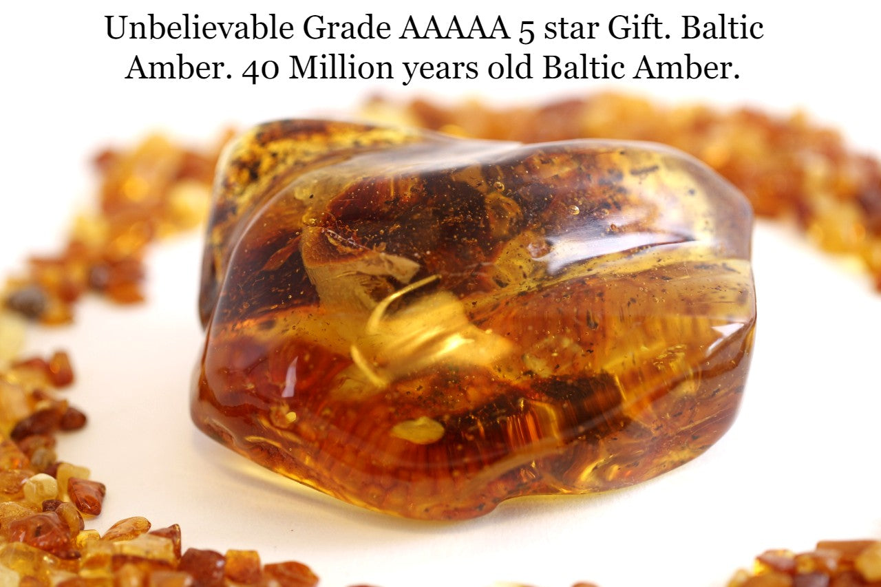 Large Museum Collector's  Baltic Amber