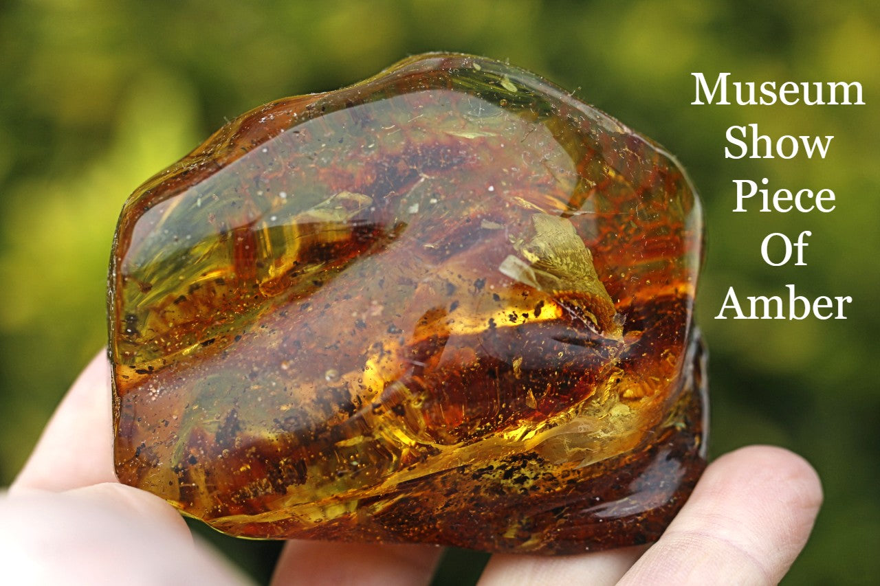 Large Museum Collector's  Baltic Amber