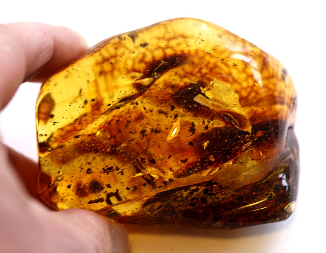 Large Museum Collector's  Baltic Amber