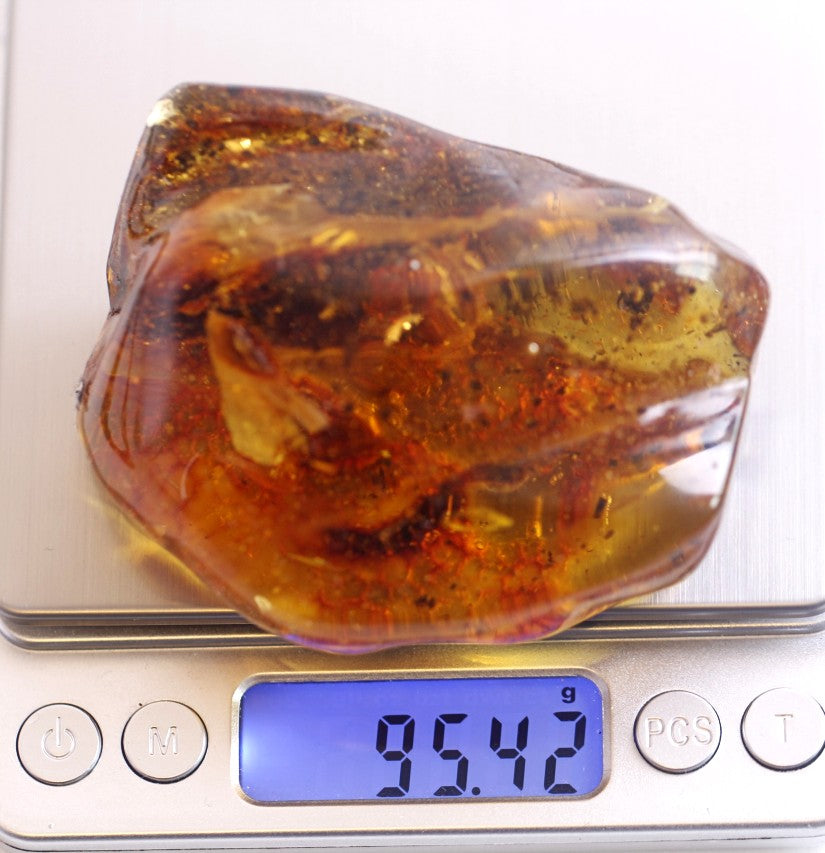 Large Museum Collector's  Baltic Amber