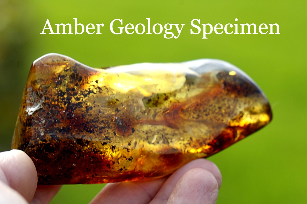 Freeform Amber Geology Specimen