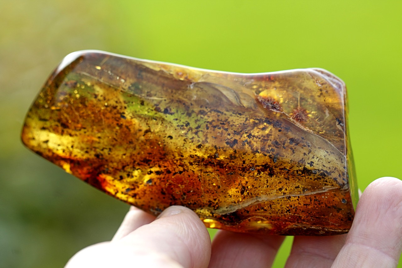 Freeform Amber Geology Specimen