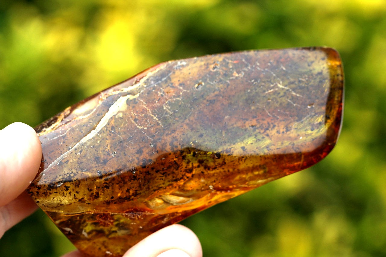 Freeform Amber Geology Specimen