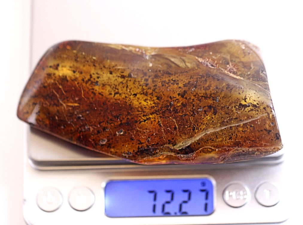 Freeform Amber Geology Specimen