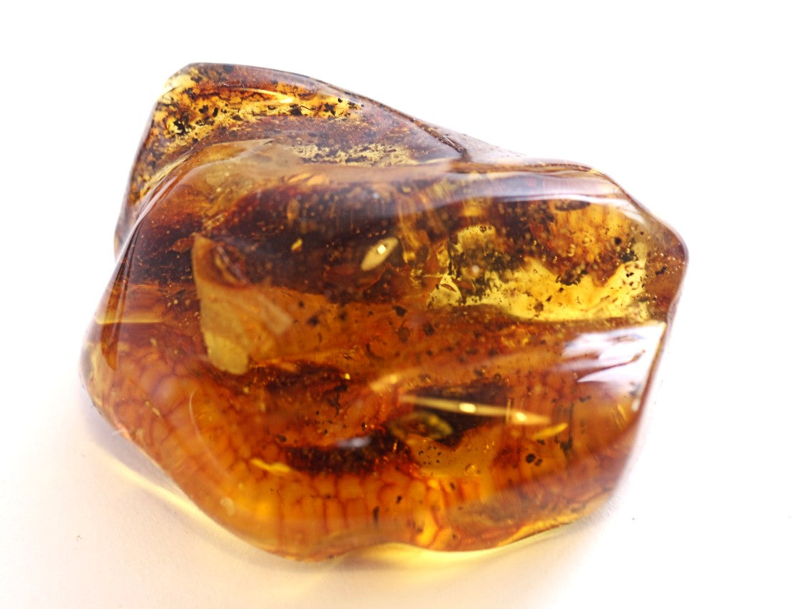 Large Museum Collector's  Baltic Amber