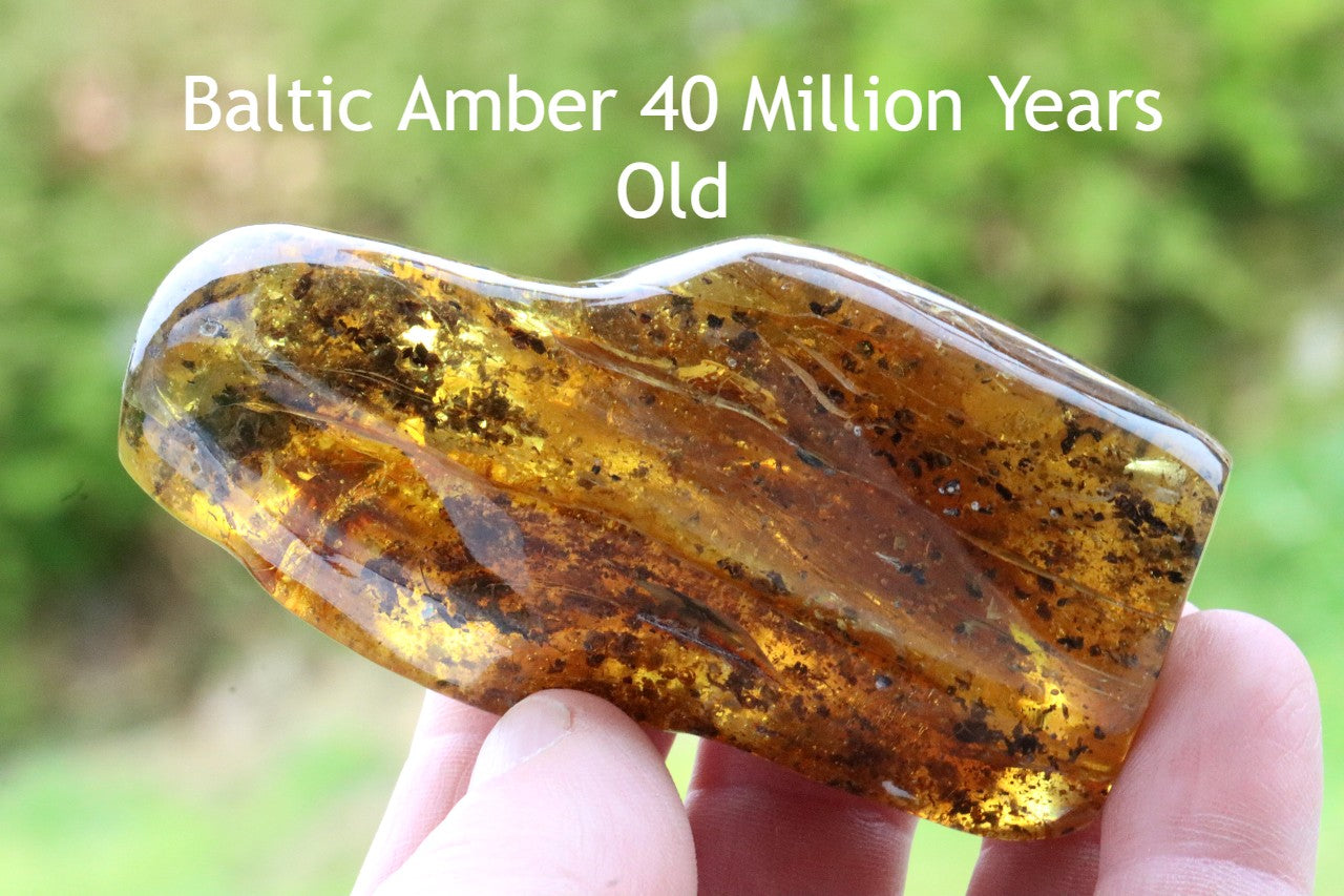 Baltic Amber with Air Bubbles 79.1g