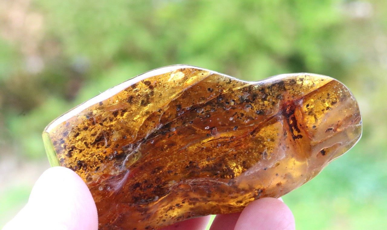 79.1g Baltic Amber with Air Bubbles