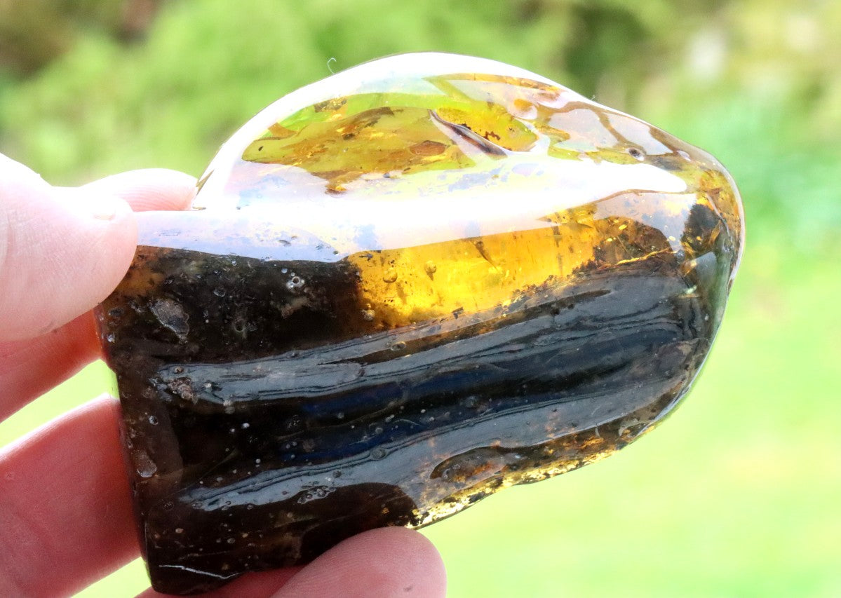 79.9g Baltic Amber with Air Bubbles