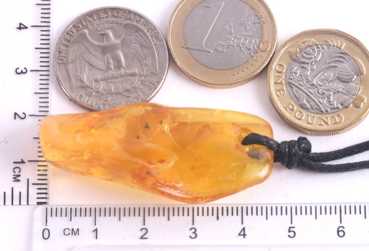 Handmade Amber Amulet With a Insect