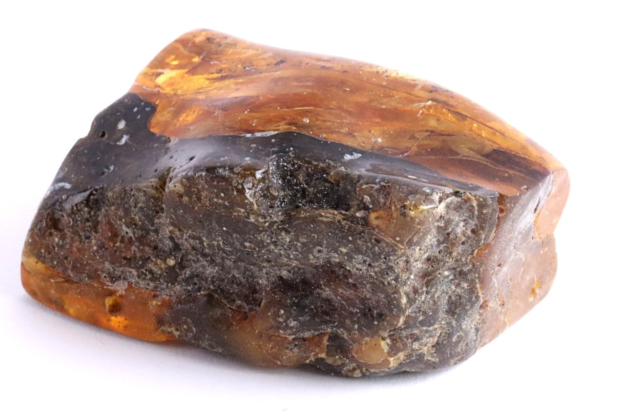 Massive 40 Million year old Baltic Amber Collector piece