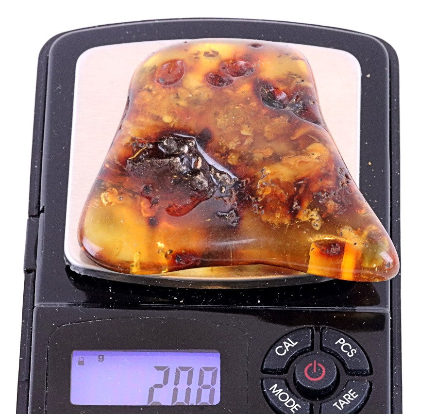 Gift for nature lover.  Fossilized Tree Resin Gift