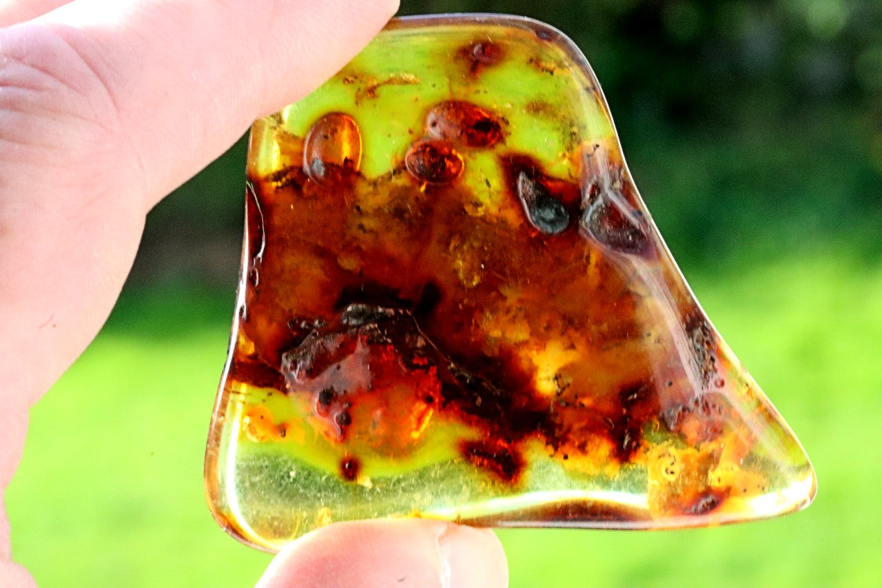 Fossilized Tree Resin