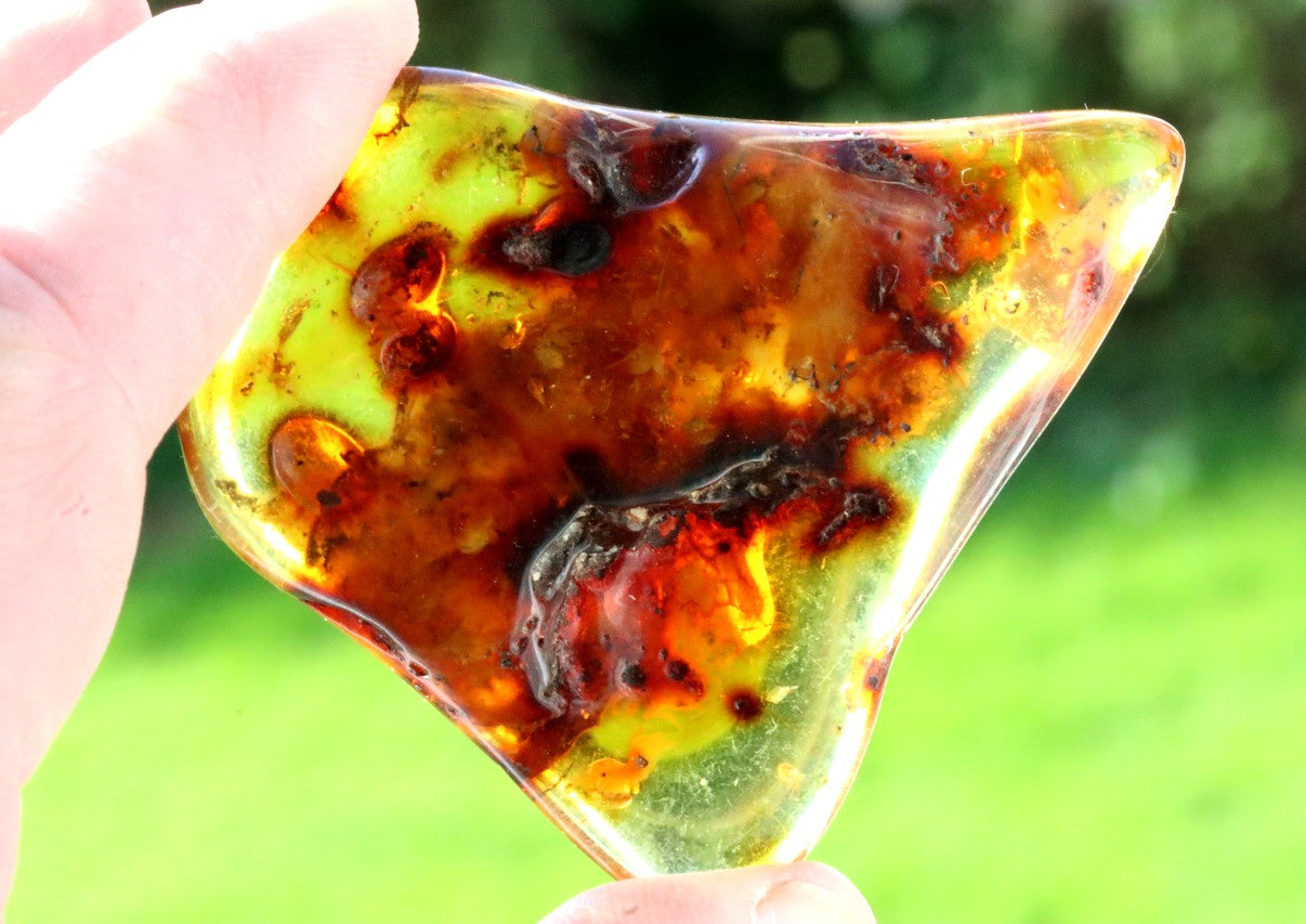Fossilized Tree Resin