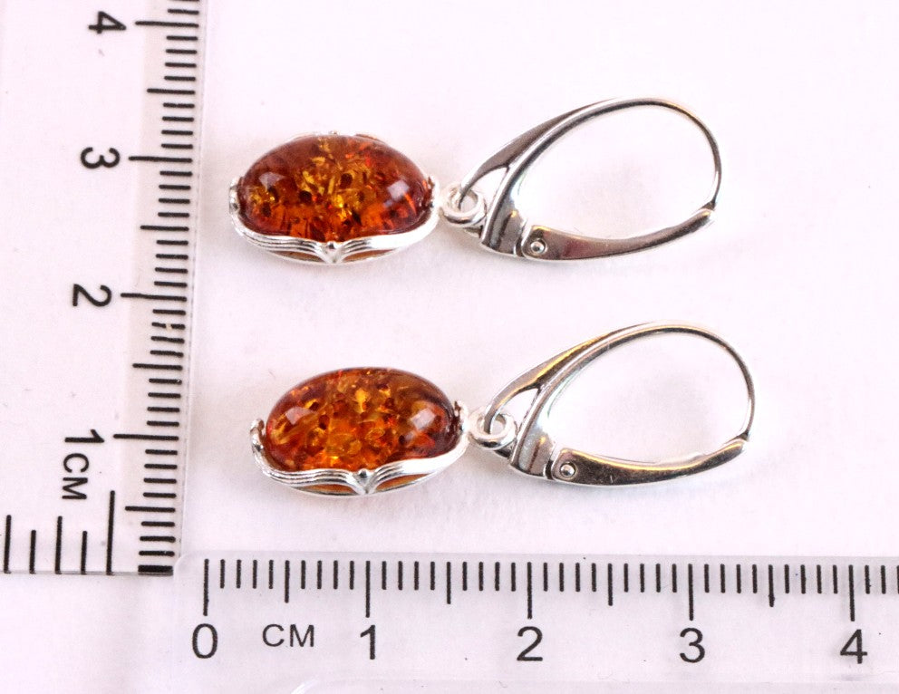 Baltic Gemstone Earrings