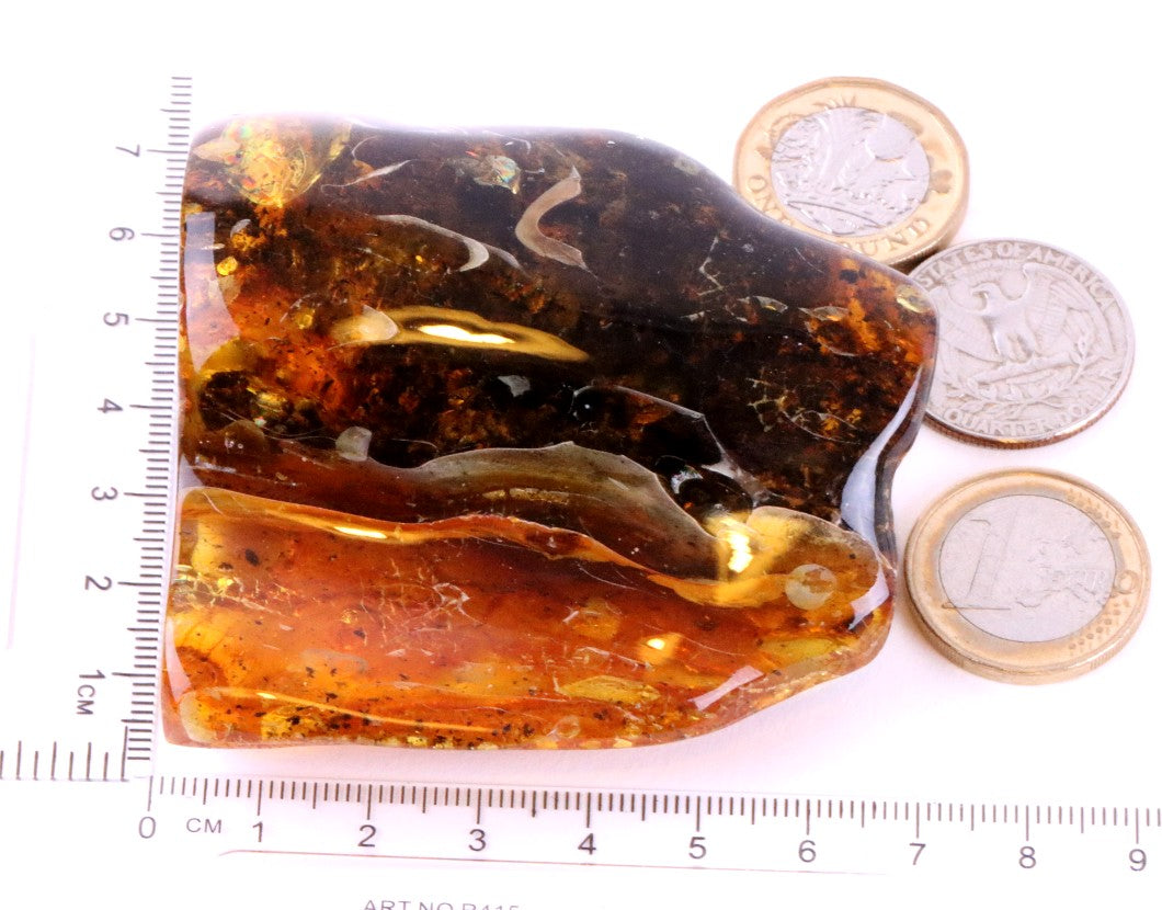 66g Natural History Museum Gift 40 Million year old Baltic Amber