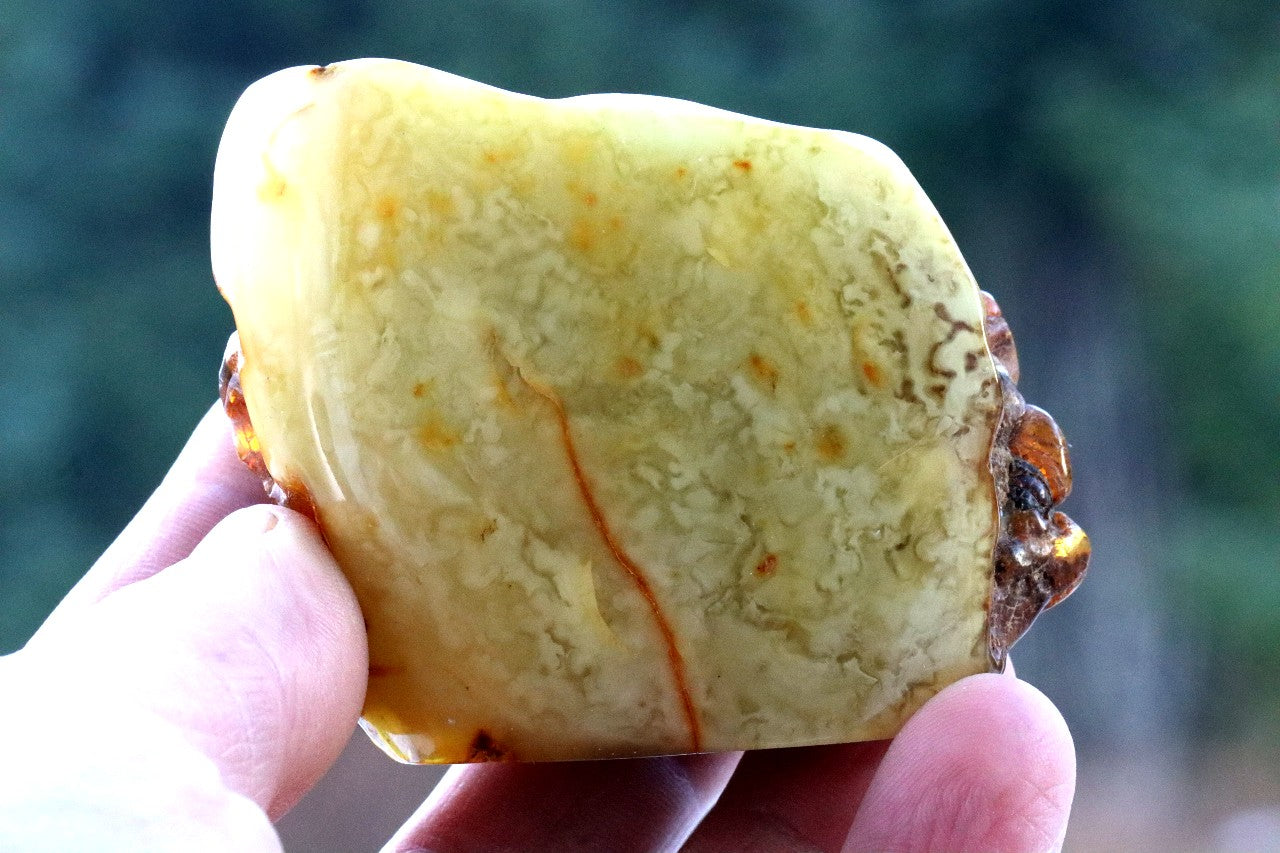 Large Baltic Amber Collector's Gem 81.40g