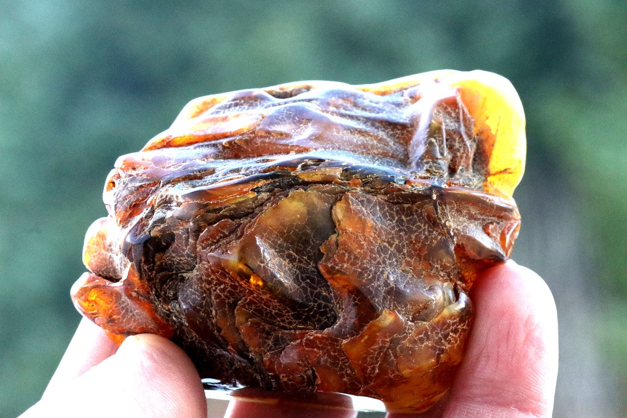 81.40g Large Amber Collector's Piece