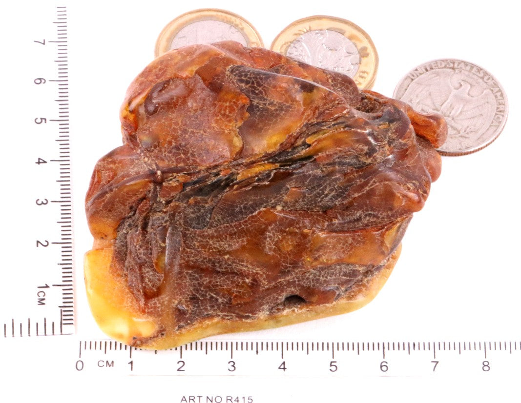 81.40g Large Amber Collector's Piece