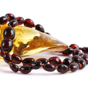 Dark Honey Bean Amber Necklace - Amber SOS