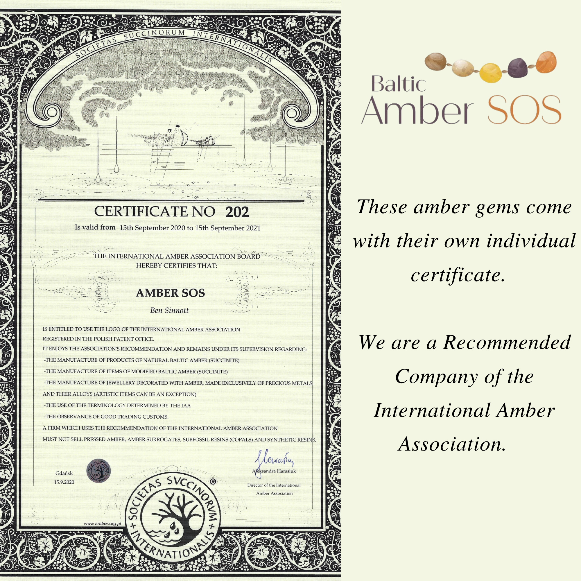 Unique Large Red Amber Necklace